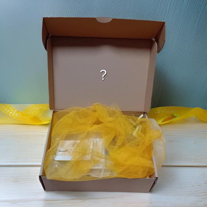 Box Endométriose surprise 